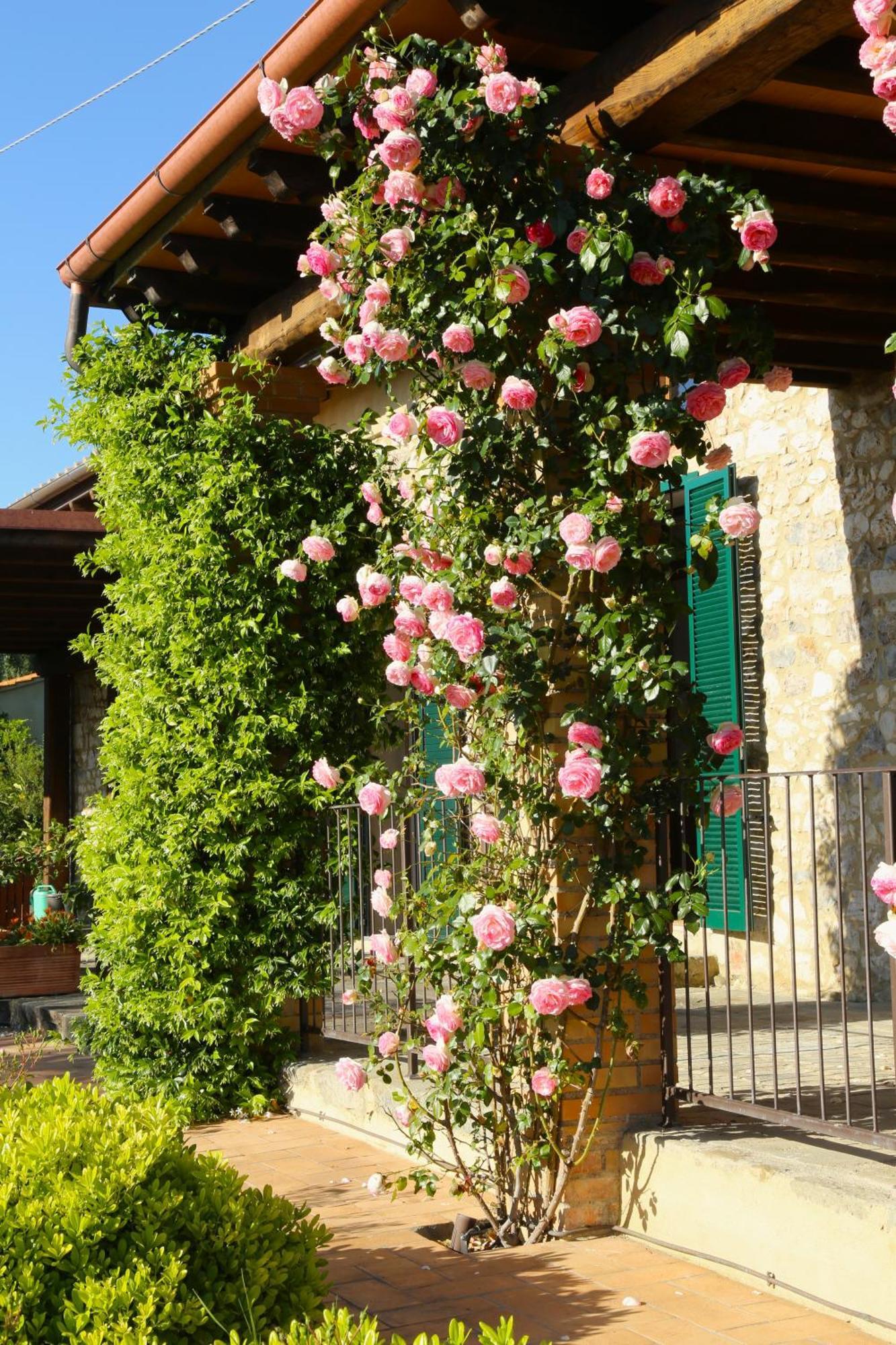 Casa Maria Villa Magliano in Toscana Eksteriør bilde