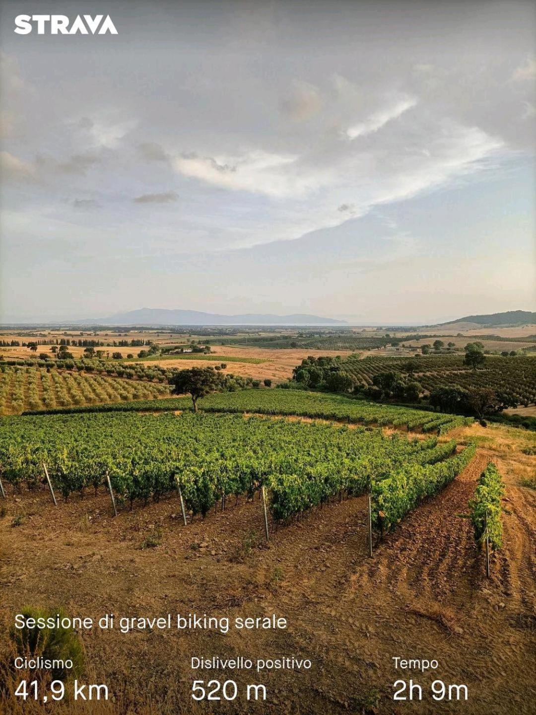Casa Maria Villa Magliano in Toscana Eksteriør bilde
