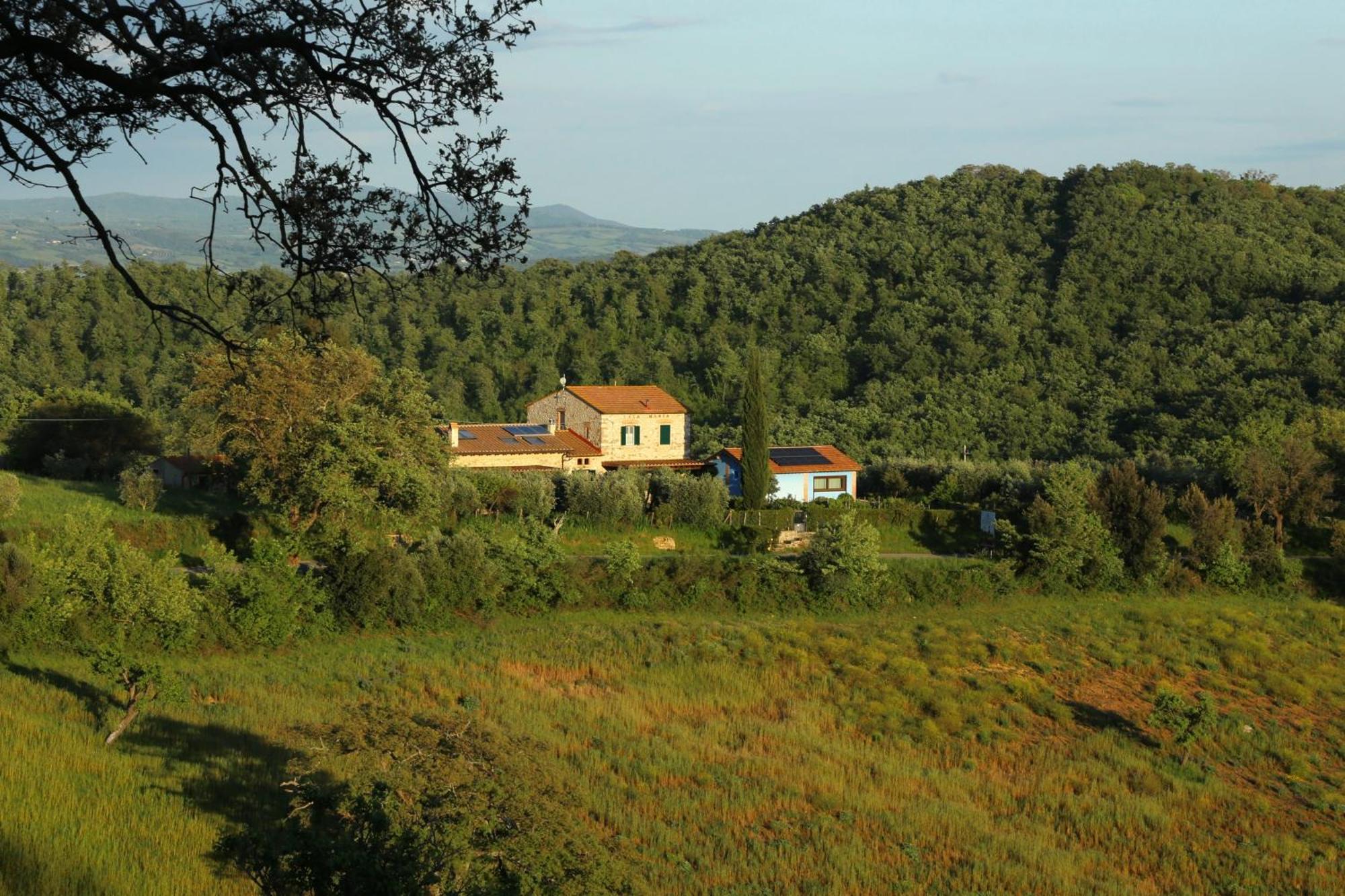 Casa Maria Villa Magliano in Toscana Eksteriør bilde